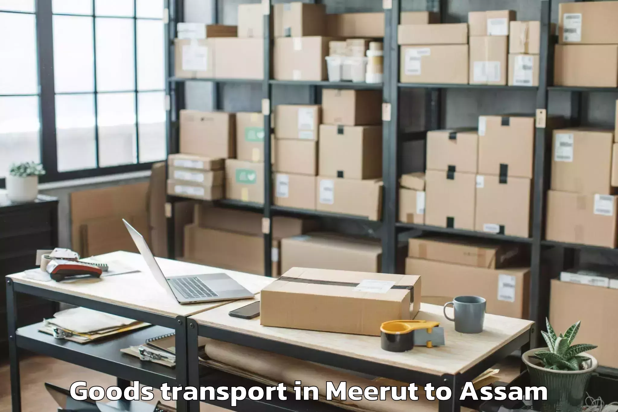 Professional Meerut to Soalkuchi Goods Transport